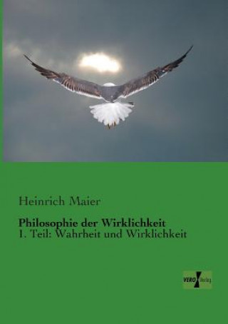 Kniha Philosophie der Wirklichkeit Heinrich Maier