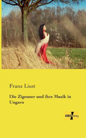Kniha Zigeuner und ihre Musik in Ungarn Franz Liszt