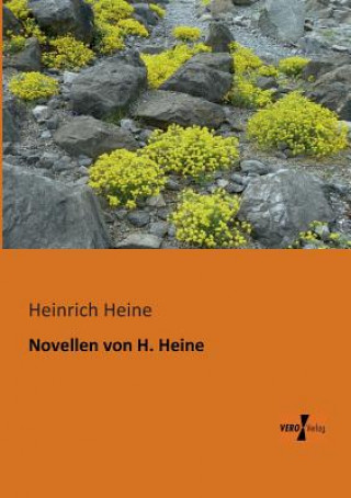 Kniha Novellen von H. Heine Heinrich Heine