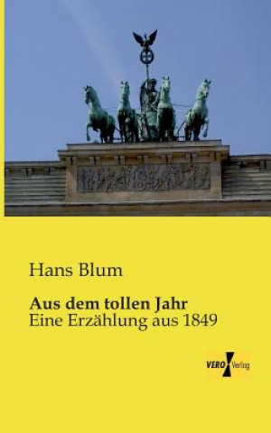 Книга Aus dem tollen Jahr Hans Blum