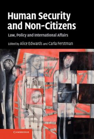 Book Human Security and Non-Citizens Alice Edwards