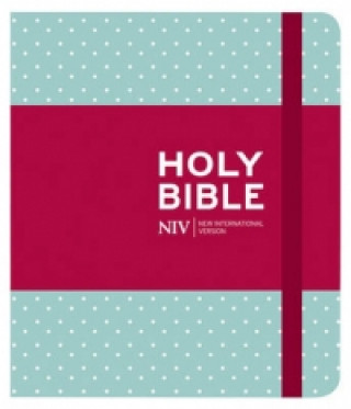 Carte NIV Journalling Mint Polka Dot Cloth Bible New International Version