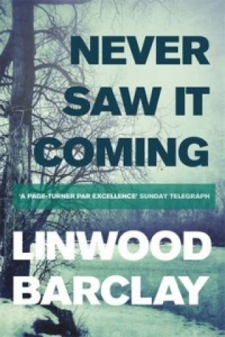 Kniha Never Saw it Coming Linwood Barclay