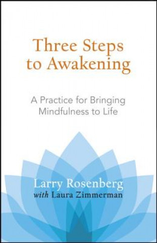 Carte Three Steps to Awakening Larry Rosenberg
