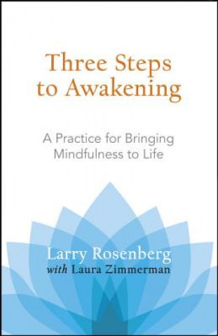 Livro Three Steps to Awakening Larry Rosenberg