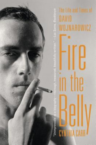 Book Fire in the Belly Cynthia Carr