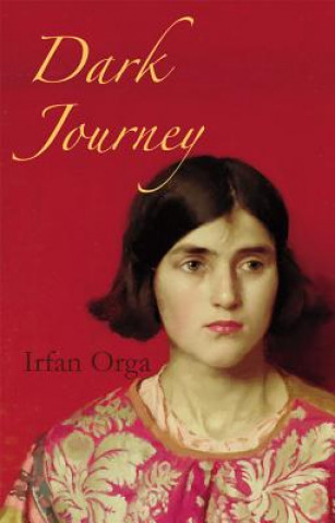 Kniha Dark Journey Irfan Orga