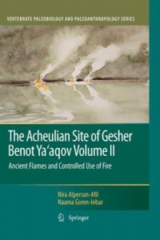 Carte Acheulian Site of Gesher Benot Ya'aqov Volume II Nira Alperson-Afil