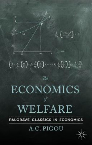 Książka Economics of Welfare Pigou A C