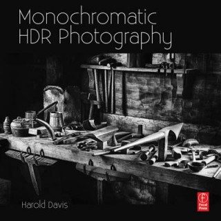 Kniha Monochromatic HDR Photography: Shooting and Processing Black & White High Dynamic Range Photos Harold Davis
