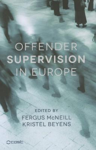 Kniha Offender Supervision in Europe McNeill Fergus