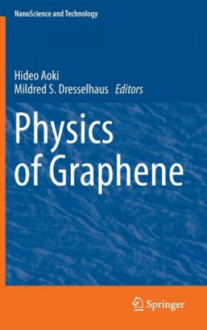 Kniha Physics of Graphene Hideo Aoki