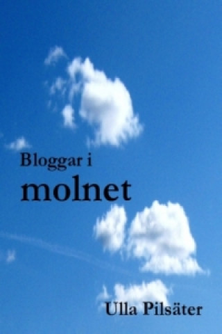 Knjiga Bloggar i molnet Ulla Pilsäter