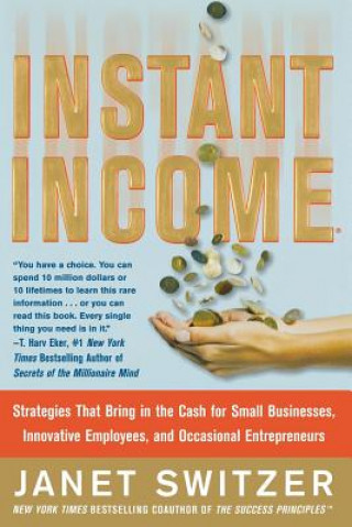 Kniha Instant Income: Strategies That Bring in the Cash Janet Switzer