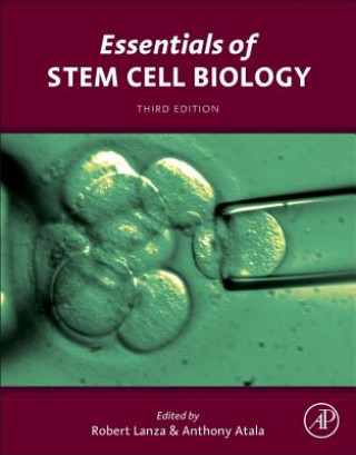 Książka Essentials of Stem Cell Biology Robert Lanza