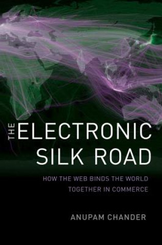 Kniha Electronic Silk Road Anupam Chander