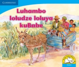 Knjiga Luhambo loludze loluya kuBabe (Siswati) Sue Hepker