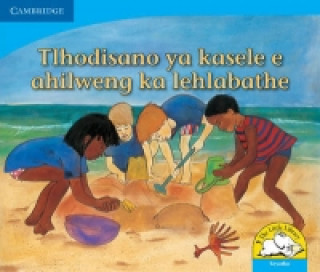 Книга Tlhodisano ya kasele e ahilweng ka lehlabathe (Sesotho) Kerry Saadien-Raad