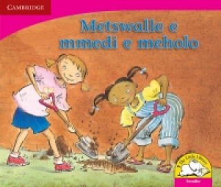 Könyv Metswalle e mmedi e meholo (Sesotho) Kerry Saadien-Raad