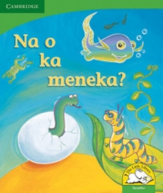 Könyv Na o ka meneka? (Sesotho) Kerry Saadien-Raad