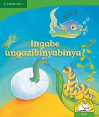 Knjiga Ingabe ungazibinyabinya? (IsiZulu) Kerry Saadien-Raad