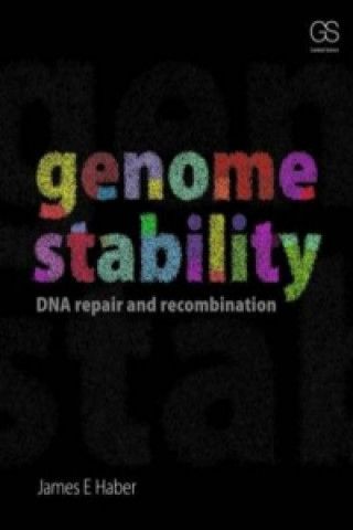 Kniha Genome Stability James Haber