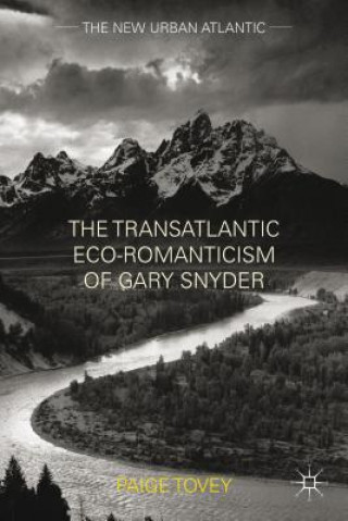 Kniha Transatlantic Eco-Romanticism of Gary Snyder Paige Tovey