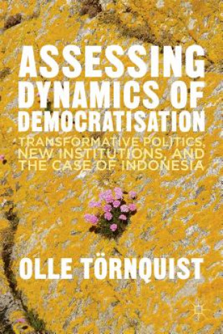Könyv Assessing Dynamics of Democratisation Olle Törnquist