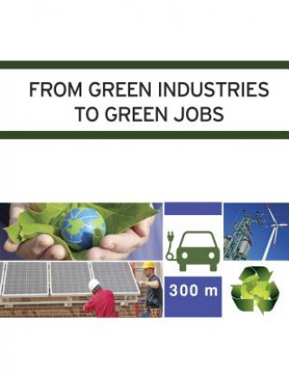 Könyv From Green Industries to Green Jobs Miranda H Ferrara