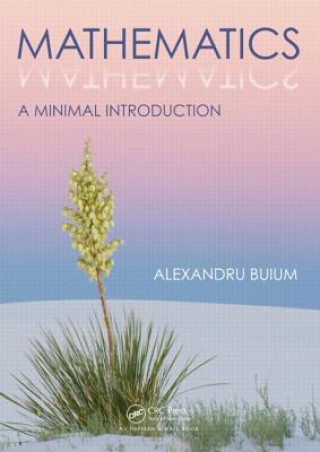 Buch Mathematics Alexandru Buium