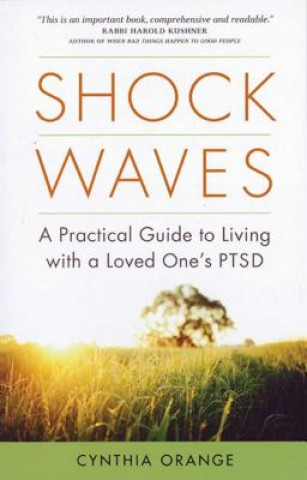 Knjiga Shock Waves Cynthia Orange