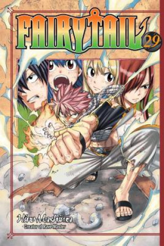 Kniha Fairy Tail 29 Hiro Mashima