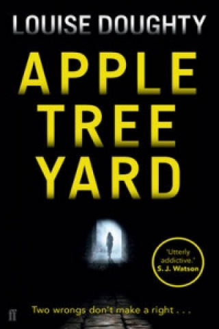 Książka Apple Tree Yard Louise Doughty