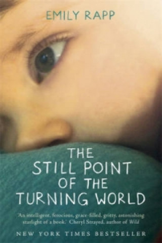 Carte Still Point of the Turning World Emily Rapp