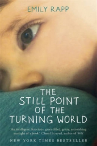 Βιβλίο Still Point of the Turning World Emily Rapp