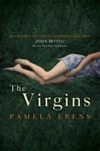 Kniha Virgins Pamela Erens