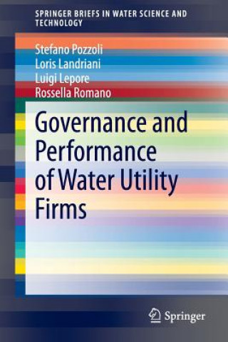 Książka Governance and Performance of Water Utility Firms Stefano Pozzoli