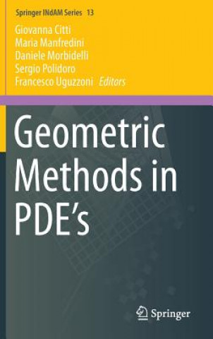 Kniha Geometric Methods in PDE's Maria Manfredini