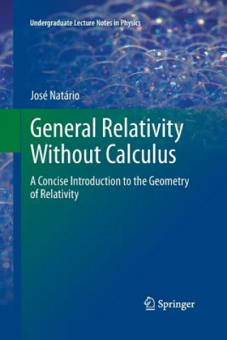 Könyv General Relativity Without Calculus Jose Natario