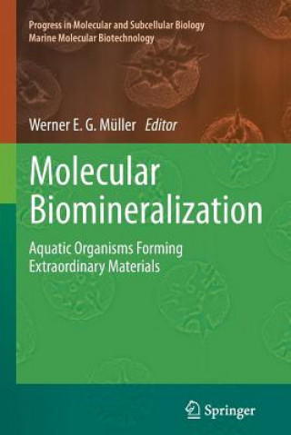 Buch Molecular Biomineralization Werner E. G. Müller