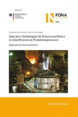 Könyv Innovative Technologien für Ressourceneffizienz in rohstoffintensiven Produktionsprozessen. Jörg Woidasky