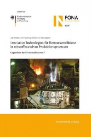 Kniha Innovative Technologien für Ressourceneffizienz in rohstoffintensiven Produktionsprozessen. Jörg Woidasky