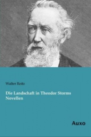 Książka Die Landschaft in Theodor Storms Novellen Walter Reitz