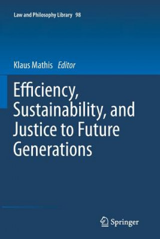 Kniha Efficiency, Sustainability, and Justice to Future Generations Klaus Mathis