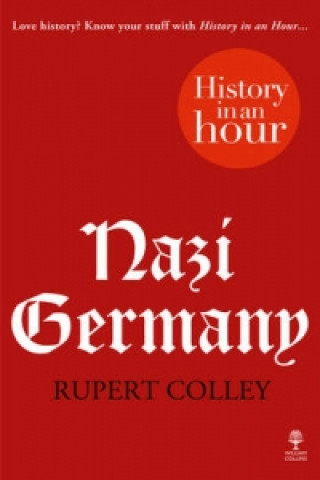 Libro Nazi Germany: History in an Hour Rupert Colley