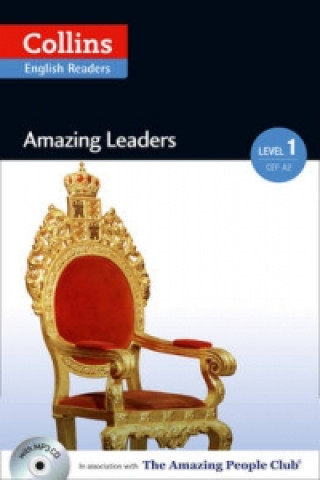 Könyv Amazing Leaders Silvia Tiberio
