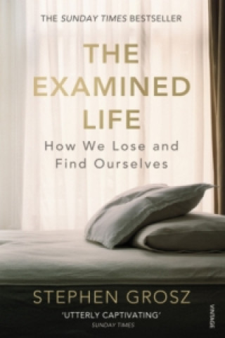 Knjiga Examined Life Stephen Grosz