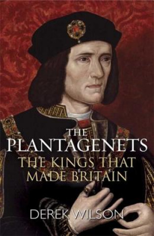 Kniha Plantagenets Derek Wilson