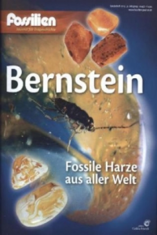 Könyv Bernstein 