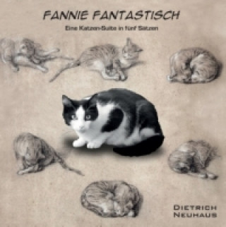 Kniha Fannie Fantastisch Dietrich Neuhaus